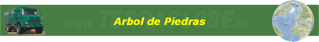 Arbol de Piedras
