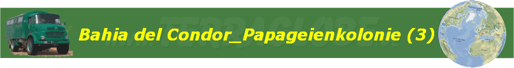Bahia del Condor_Papageienkolonie (3)