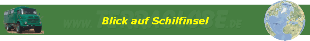 Blick auf Schilfinsel