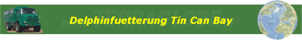 Delphinfuetterung Tin Can Bay