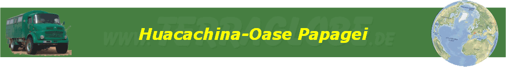 Huacachina-Oase Papagei