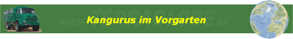 Kangurus im Vorgarten