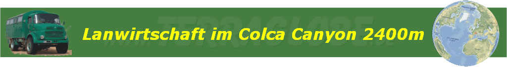 Lanwirtschaft im Colca Canyon 2400m