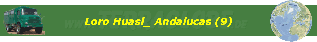 Loro Huasi_ Andalucas (9)