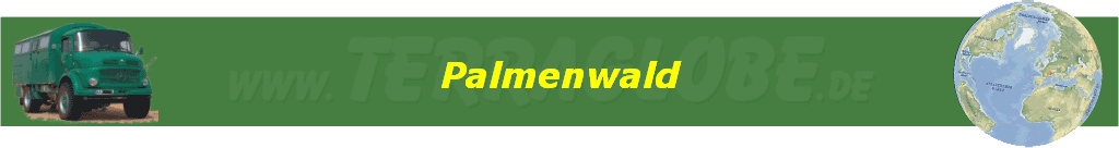 Palmenwald