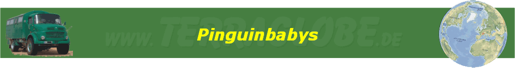 Pinguinbabys