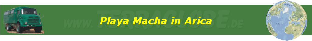 Playa Macha in Arica