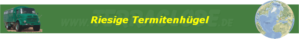 Riesige Termitenh�gel