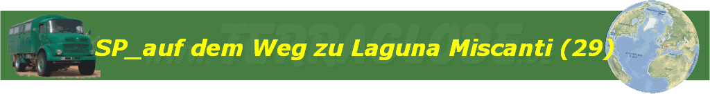 SP_auf dem Weg zu Laguna Miscanti (29)