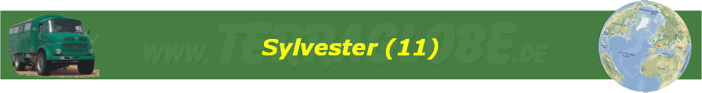 Sylvester (11)