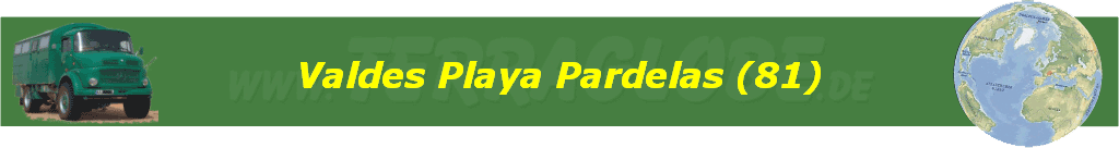 Valdes Playa Pardelas (81)