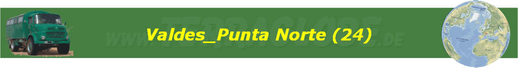 Valdes_Punta Norte (24)