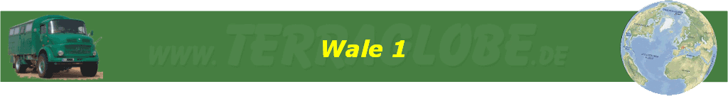 Wale 1