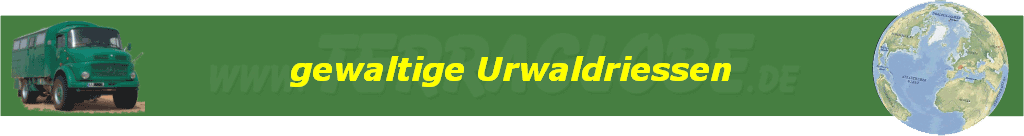 gewaltige Urwaldriessen