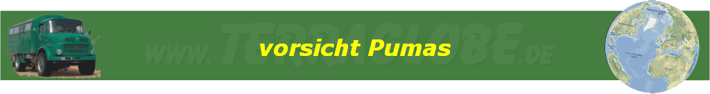 vorsicht Pumas