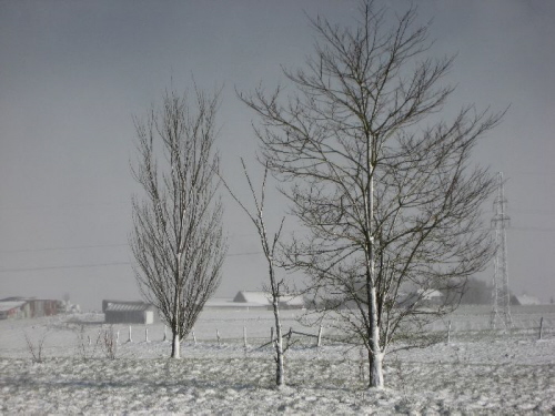 Anfahrt Schneesturm004