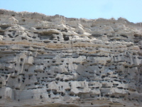Bahia del Condor_Papageienkolonie (15)