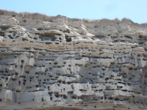Bahia del Condor_Papageienkolonie (15)