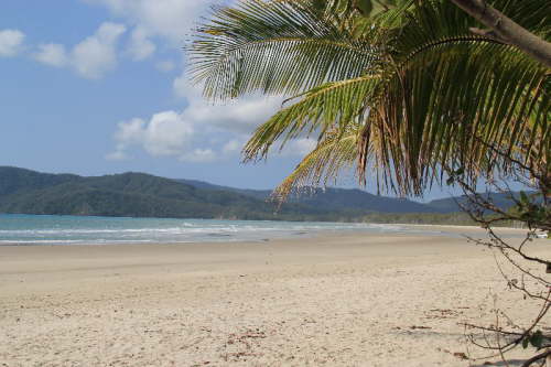 Beim Cape Tribulation