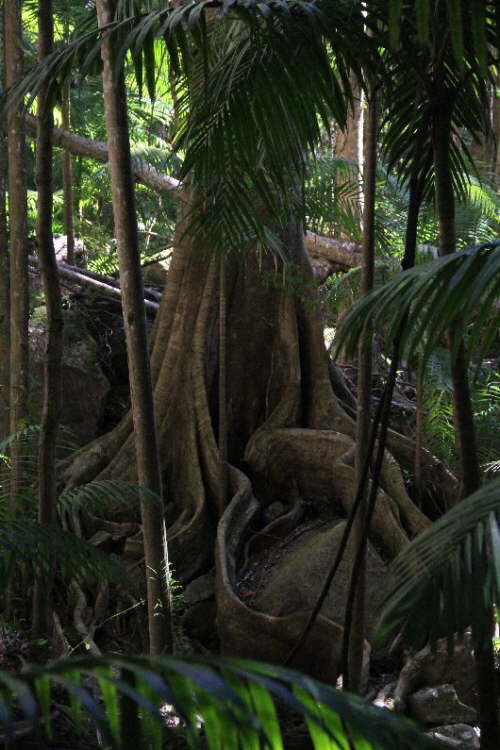 Byron Bay 06