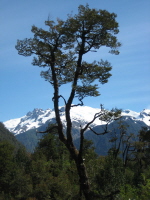 Carretera Austral (11)