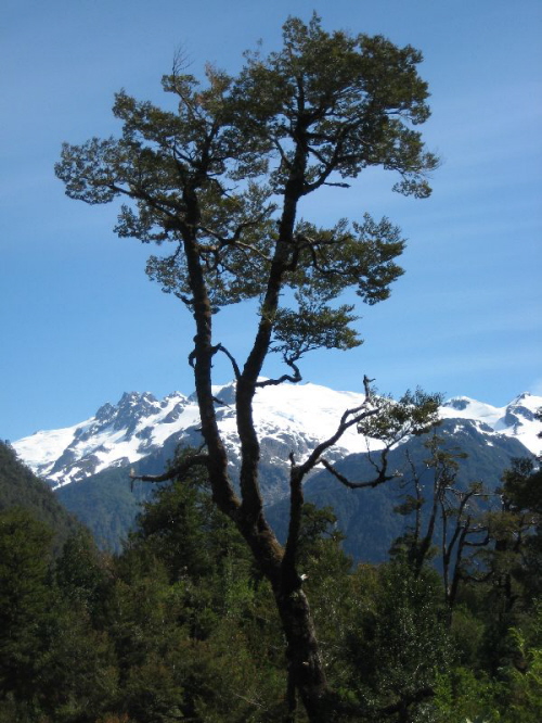 Carretera Austral (11)