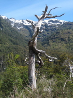 Carretera Austral (12)