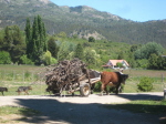 Chubut (21)
