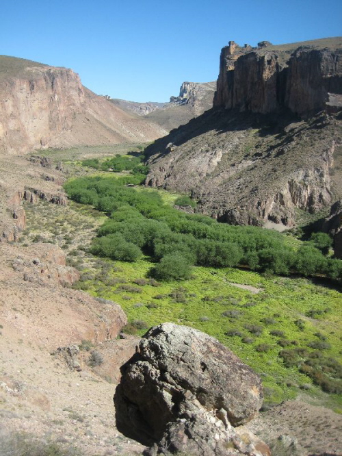 Cueva de los Manos