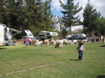Cusco 19