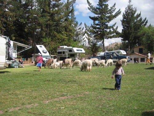 Cusco 19