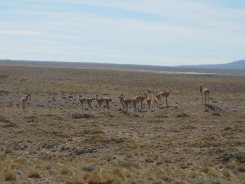 Fitz Roy
