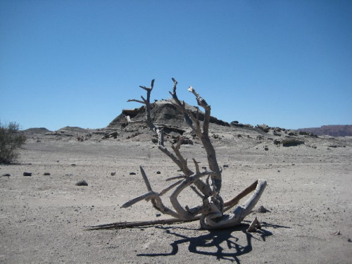 Ischigualasto (30)