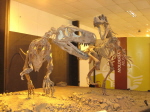 Ischigualasto (5)