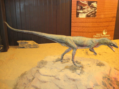 Ischigualasto (7)