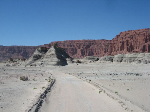 Ischigualasto (80)