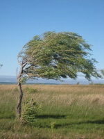 Lago Carrera (18)