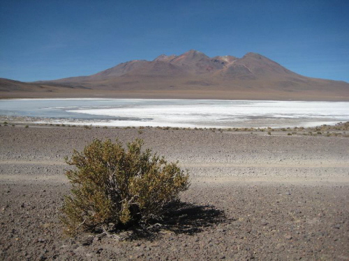 Laguna Hedionda