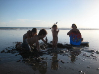 Las Conchilla Freunde