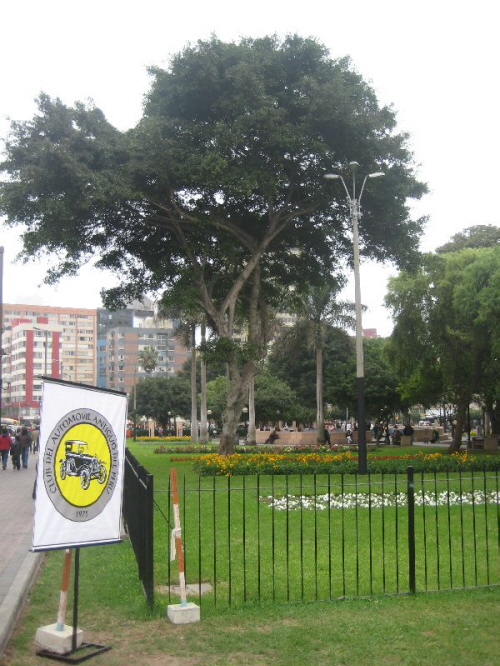 Lima Park Kennedy