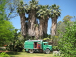 Menoza_Camping_Suizo (2)