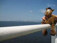 Murphy in Rio
