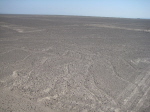 Nasca Geoglyphen der Baum