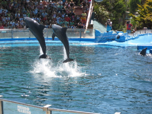Park Mundo Marino (2)