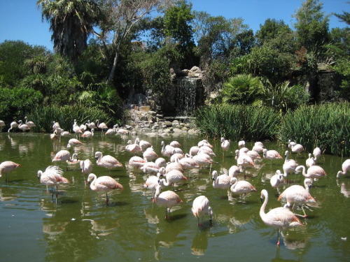 Park Mundo Marino (4)