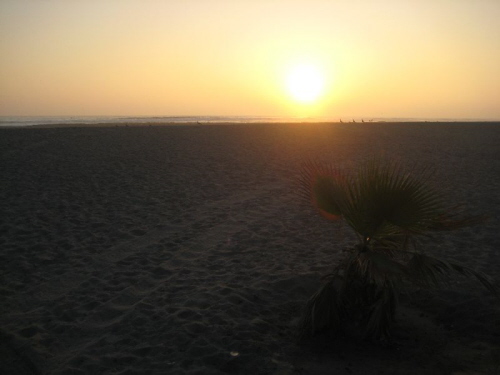 Playa Macha in Arica