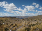 Pucio Cusco 01