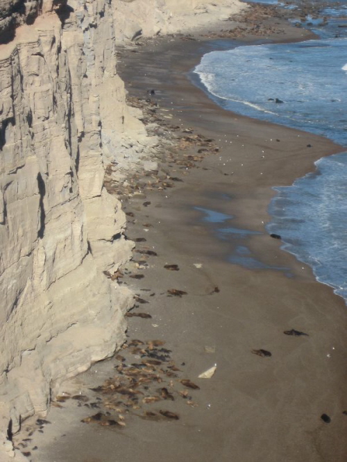 Punta Bermeja_La Loberia (1)