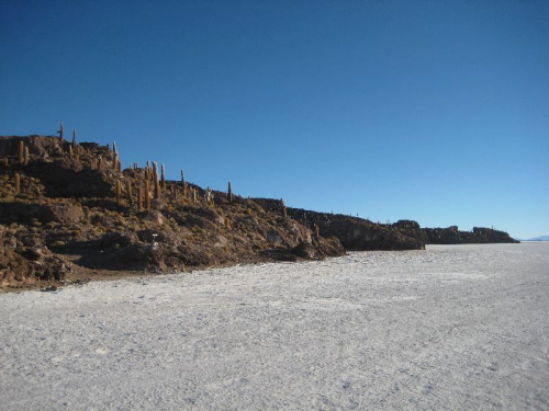 Salar Uyuni Isla Incahuasi