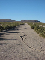 Salar Uyuni bis San Pedro Karolas Motorradspur